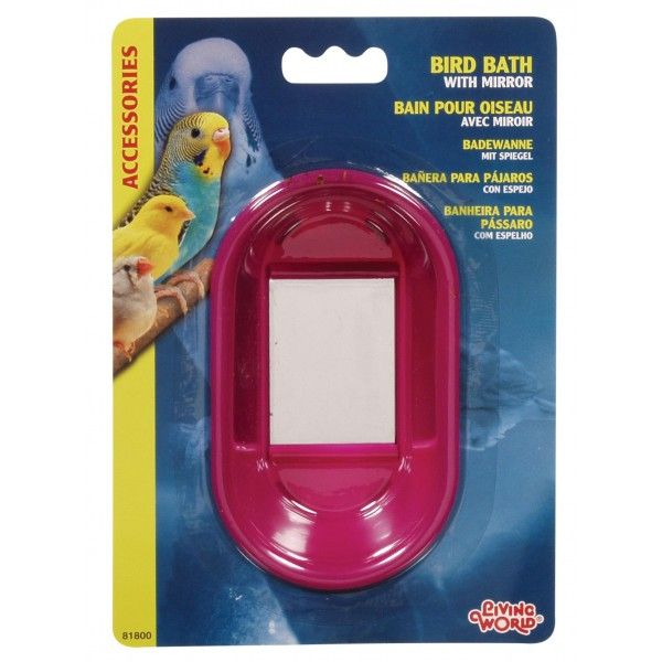 Living World Bird Bath with Mirror on Card