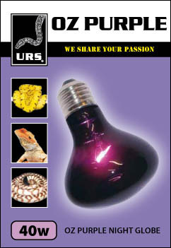 GLOBE SM OZ PURPLE 40W