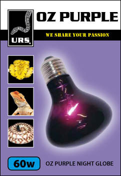 GLOBE SM OZ PURPLE 60W