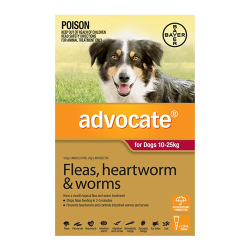 ADVOCATE FOR DOGS FOR LARGE DOGS 10 TO 25 KG - 3 DOSES