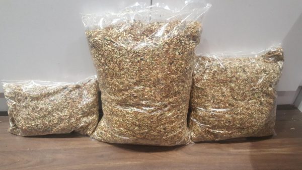 RABBIT & GUINEA PIG MIX