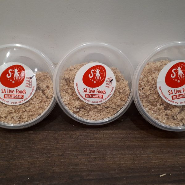 MEALWORMS 10g
