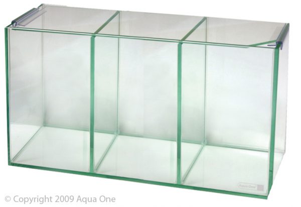 Betta Trio Cube Glass W Lid 36x12x20cm INCLUDES 3 FIGHTER FISH