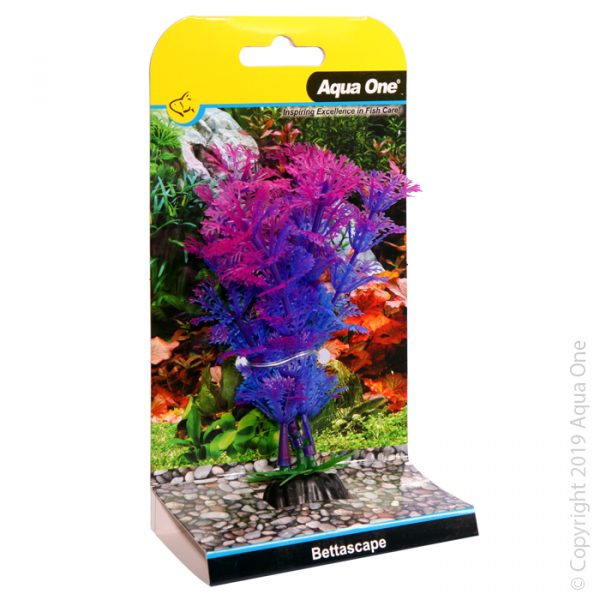 Bettascape Betta Ambulia Purple