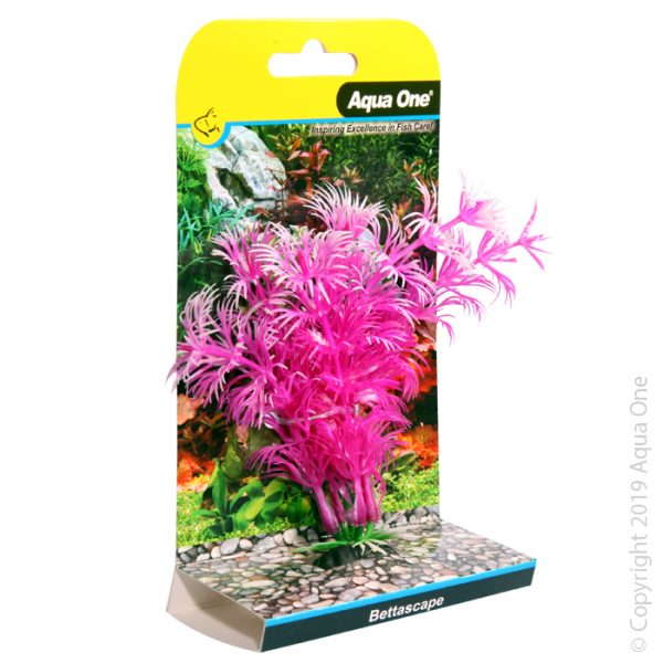 Bettascape Betta Ambulia Pink