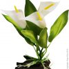 Plastic Plant Calla Lily W Log Base Sm