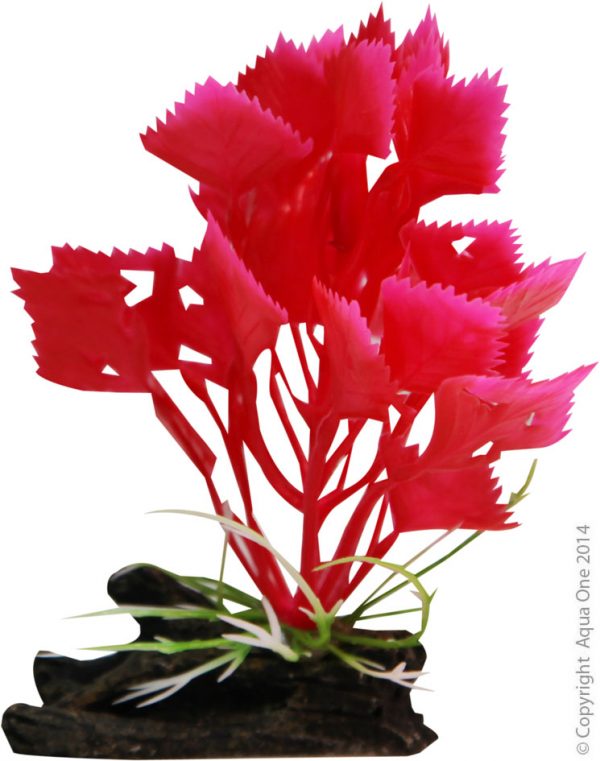 Plastic Plant Red Variegated Hygrophila W Log Base Sm