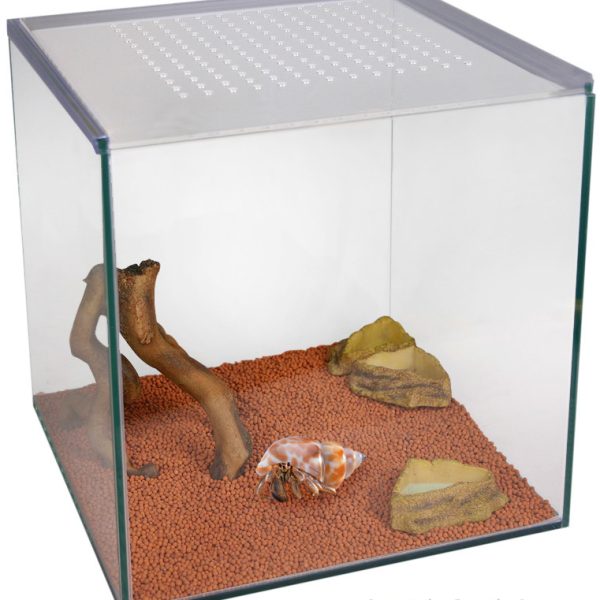 Hermit Crab Starter Kit Glass 30x30x30cm