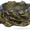 Reptile Dish 13x11cm Md