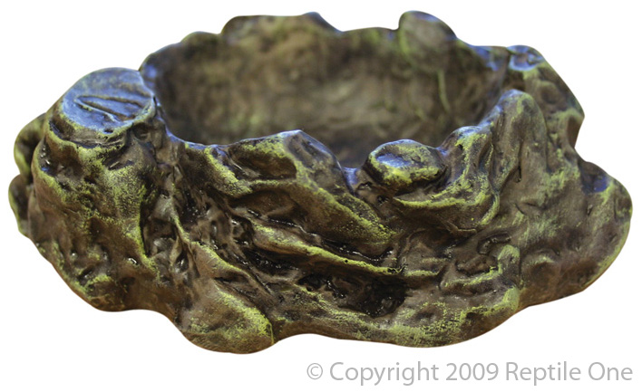 Reptile Dish 13x11cm Md