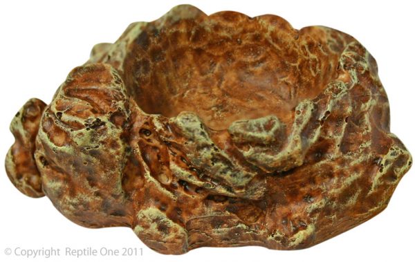 Reptile Dish 9.5x7.8cm Sm