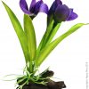 Plastic Plant Violet W Log Base Sm