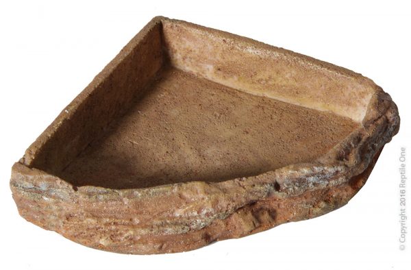 Reptile Corner Bowl M (9.5 X9.5 X 2.3 Cm)
