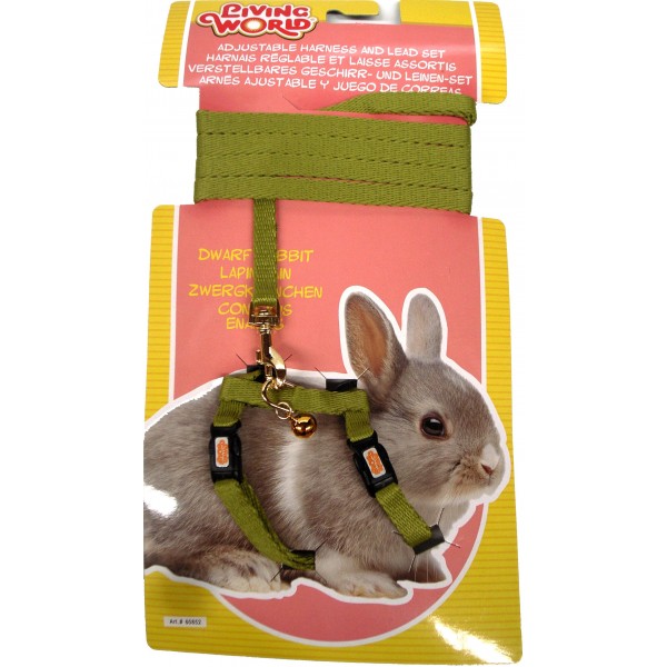 Dwarf Rabbit Harness/Lead Set - GREEN
