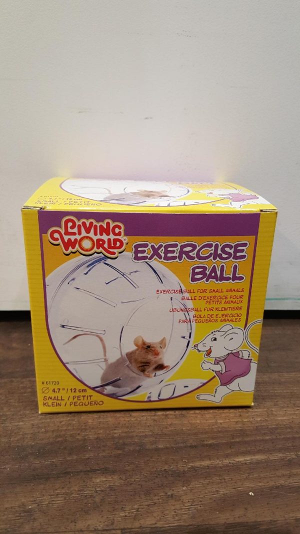 Living World Exercise Ball Small