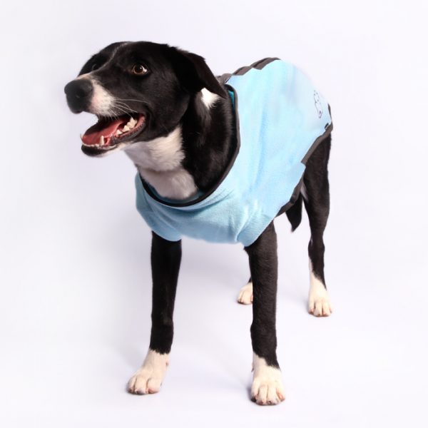 Dog Coat JumpSuit 55cm Heavy Fleece Zip Up Blue