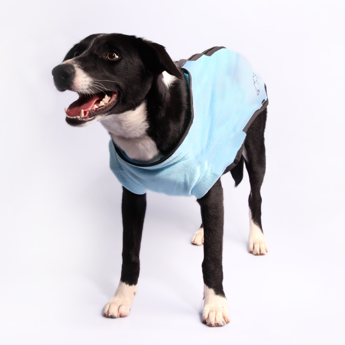 Dog Coat JumpSuit 55cm Heavy Fleece Zip Up Blue