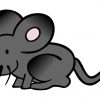 SMALL RAT