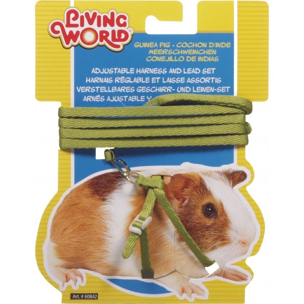 Guinea Pig Harness/Lead Set - GREEN