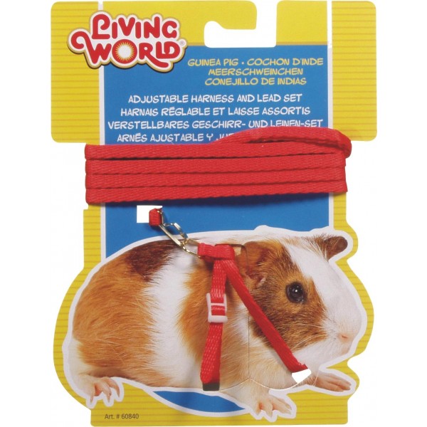 Guinea Pig Harness/Lead Set - RED