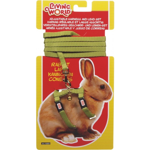 Rabbit Harness/Lead Set - GREEN
