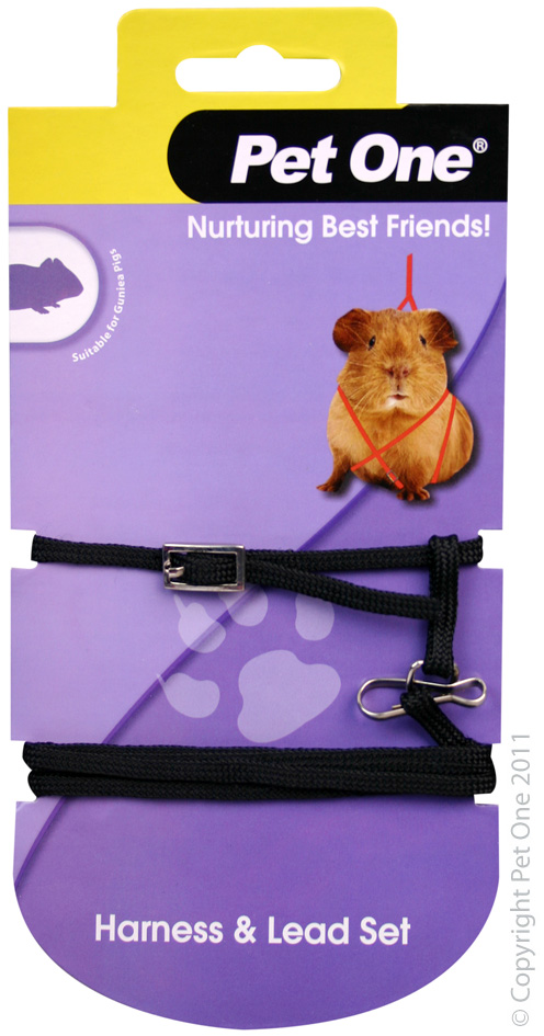Guinea Pig Leash & Harness - BLACK