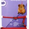 Guinea Pig Leash & Harness - RED