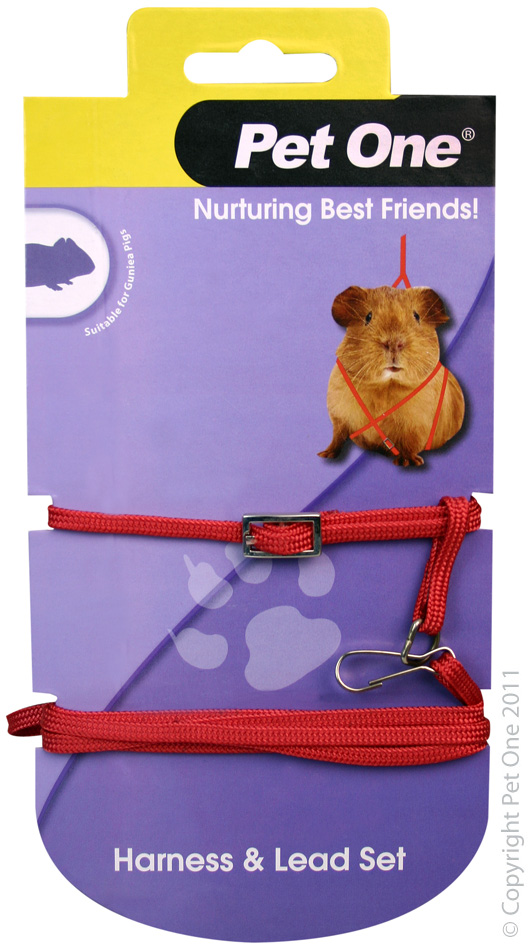 Guinea Pig Leash & Harness - RED