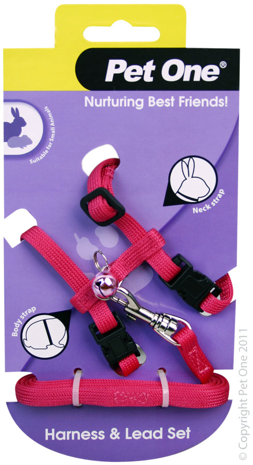Leash & Harness - Rabbit, Guinea Pig or Ferret