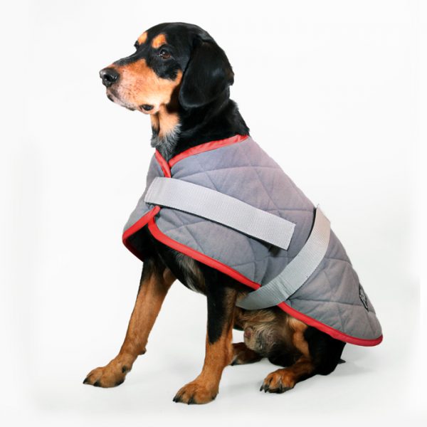 Dog Coat NightSleeper 50cm Grey Red