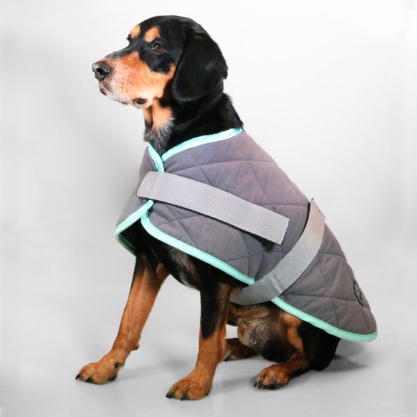 Dog Coat NightSleeper 50cm Grey Turquoise