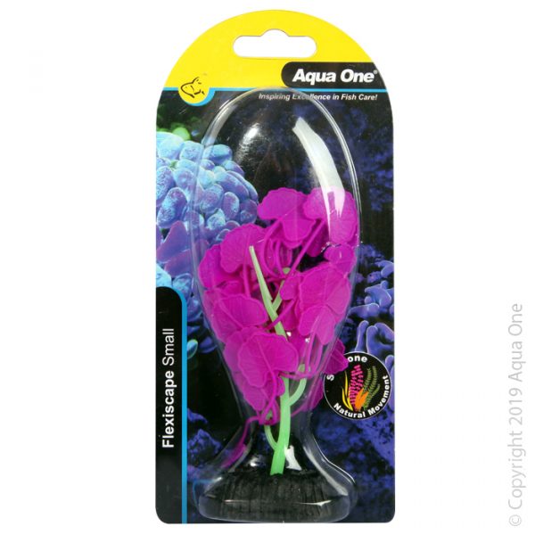 Flexiscape Small Pennywort Purple
