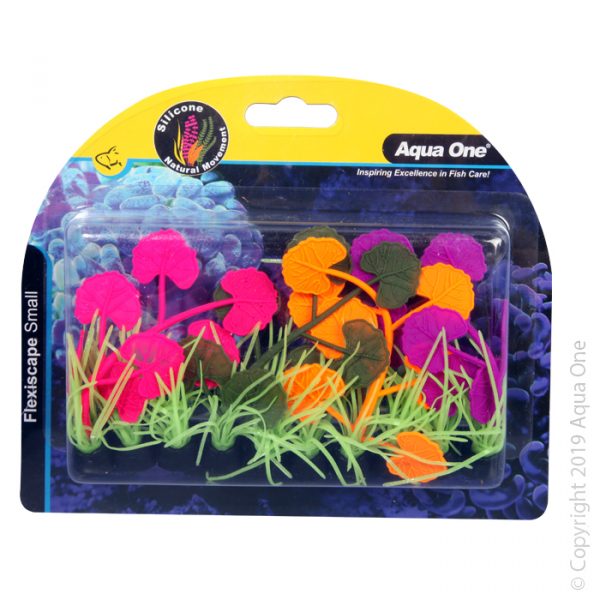 Flexiscape Small Pennywort Purple Pink Orange