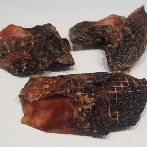 Roo Knee Cap Tendons