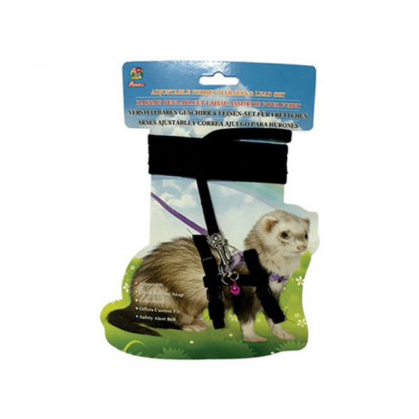 Ferret Harness & Lead Set - BLACK