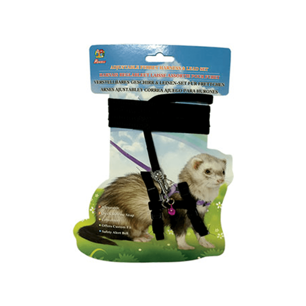Ferret Harness & Lead Set - BLACK