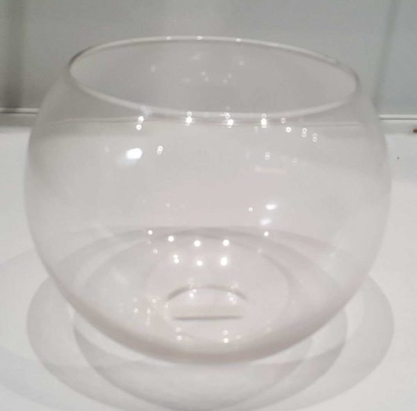 Betta Siamese Fish  Bowl