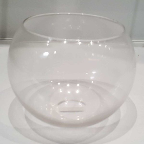 Betta Siamese Fish  Bowl