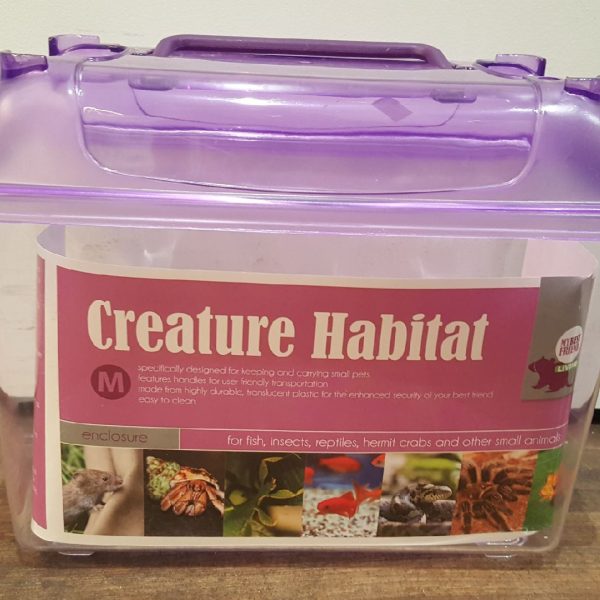 Plastic Tanks Medium Purple