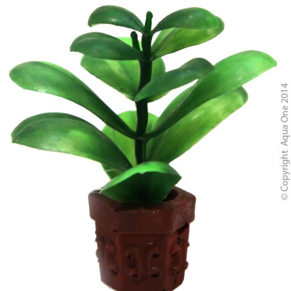 Ornament Betta Pot Plant Green 10cm