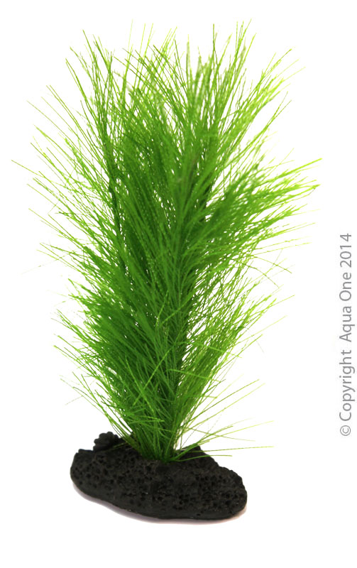 Ornament Betta Green Fern On Rock 10cm