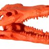 Hermit Crab Alligator Scull Orange 7.5x4.5x4.5cm