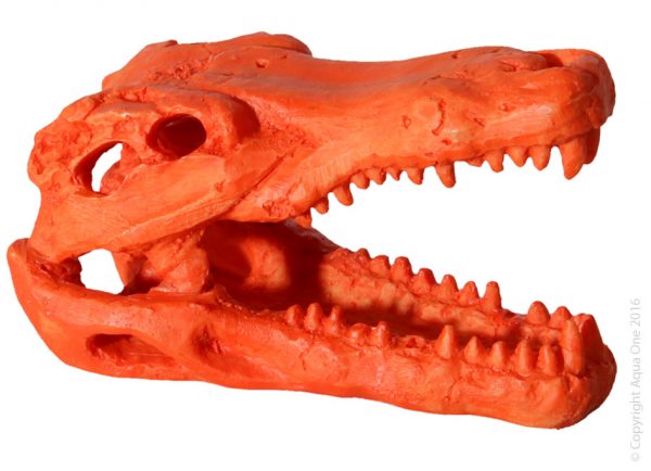 Hermit Crab Alligator Scull Orange 7.5x4.5x4.5cm