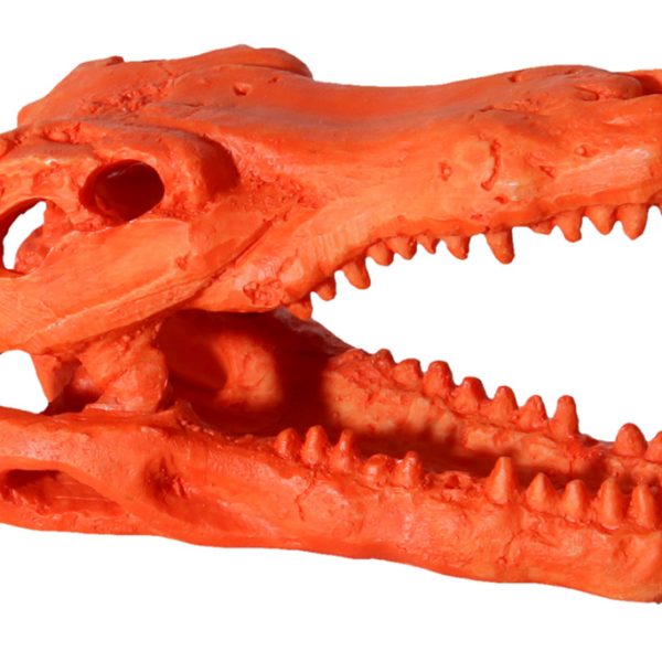 Hermit Crab Alligator Scull Orange 7.5x4.5x4.5cm