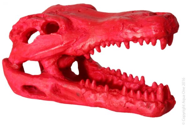 Hermit Crab Alligator Scull Red 7.5x4.5x4.5cm