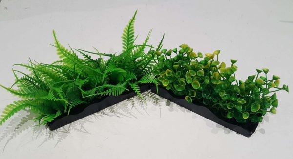 Ecoscape Foreground Ogris Auribus Yl/fer