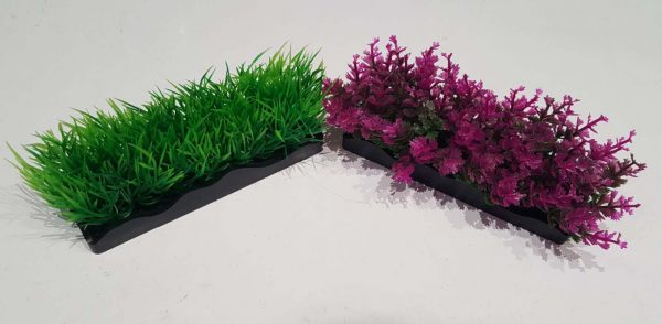 Ecoscape Foreground Catspaw Pk/hair Grass