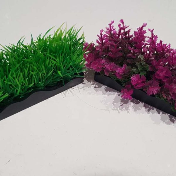 Ecoscape Foreground Catspaw Pk/hair Grass