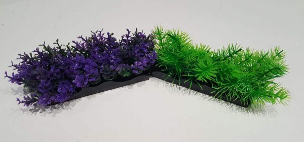 Ecoscape Foreground Catspaw Pu/ambulia