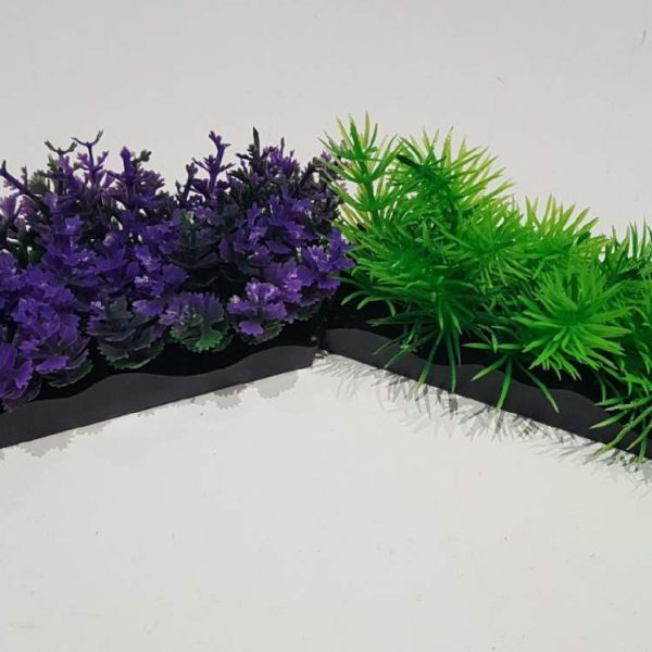 Ecoscape Foreground Catspaw Pu/ambulia